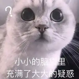 可爱小猫表情包
