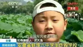 rin双人实况解说part3变故
