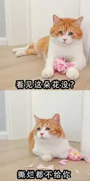 用了这么久,终于找到这些表情包的本尊了
