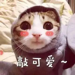 淮师大外国语学院院长向全院女生道歉,因为
