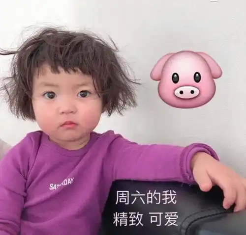 有没有罗熙怼人表情包
