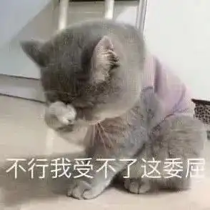 表情包委屈小猫头
