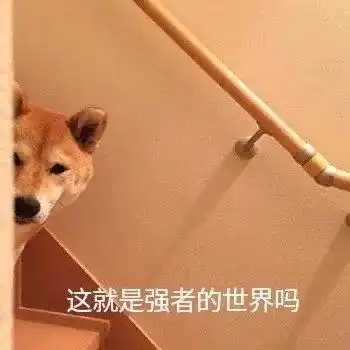 表情包这就是强者的世界吗
