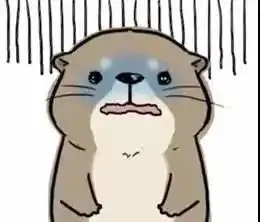 可爱水獭表情包不行不行
