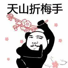 熊猫头表情包我将毕生的武功全都传给你
