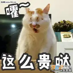 我哪都不去可以八天不洗头了表情包国庆出游篇表情包下载乐游网游戏下载
