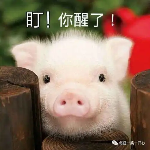 开心时刻,看到一售楼处广告,不满意无理由退房,这个惊天骗局竟然被老妈拆穿了...
