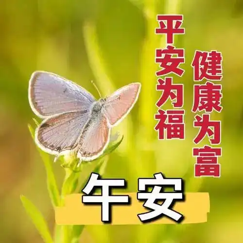 中午好图片大全,中午好问候语图片,午安问候图片大全
