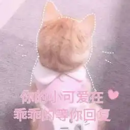 高级渣男特点拥有超多可爱喵喵表情包
