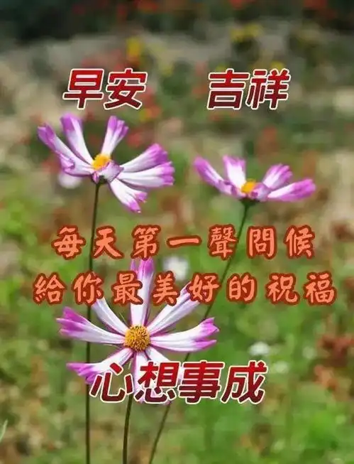 早上好微信问候语表情包祝福早上好文字图片带字动态
