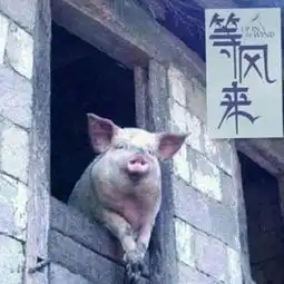 音容宛在的肥佬的微博微博
