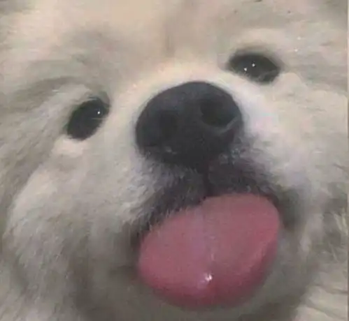 有哪些活泼可爱青春阳光的头像呀
