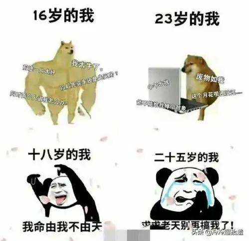 每日爆笑囧图合作意识需要从小就开始培养
