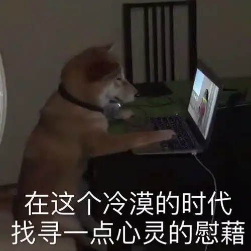沙雕表情包l午夜心碎
