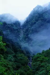 世界聚焦5天后,泰山将拿下一项全球第一身价又要涨了,自豪吗
