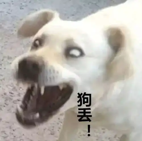南宁一男子掐死怀孕女友,一尸两命,尸体高度腐烂后才被发现
