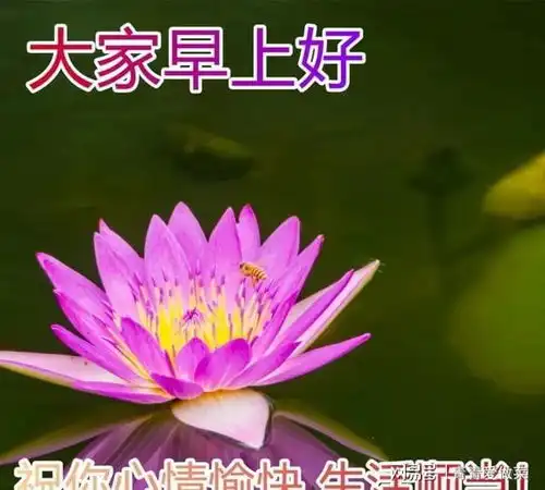 春季清晨早上好漂亮图片问候祝福语,早安暖心祝福短信
