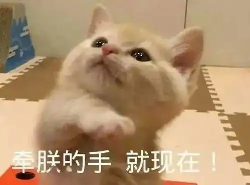 沙雕表情包丨宝贝让我尝尝你甜不甜
