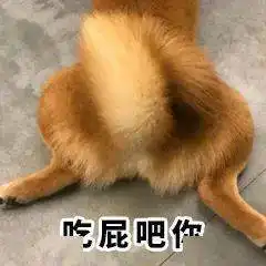 跟你超配的沙雕表情包
