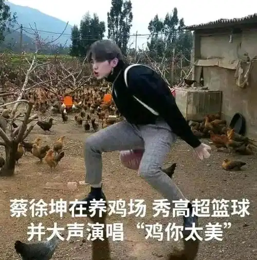 坤坤鸡你太美表情包下载坤坤鸡你太美表情包动图头像图片大全免费下载v1.0安族软件网
