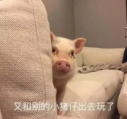 点赞可以输,战队名不能输
