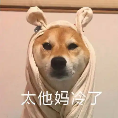 柴犬冬季打工人表情包合集不想起床,不想上班
