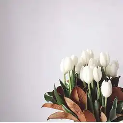 价值1000元的花艺课,免费送给你
