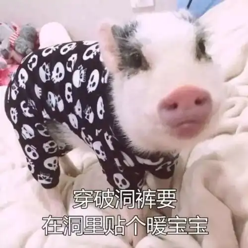 不要朋克养生,秋季保养好时节,可是不能错过了
