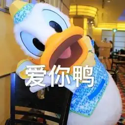 临港绝密档案
