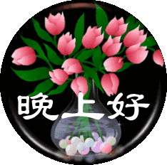 晚上好表情包晚上好微信表情

