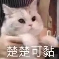 心动警告这都是什么神仙汉服美女啊
