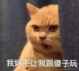 现在是不是都认为,沪深港通入摩入富以及新股增发将改变中国股市以前的投资风格,
