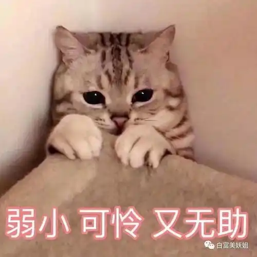 偷盗成瘾酷爱炫富,这位京城富二代真面目被揭穿
