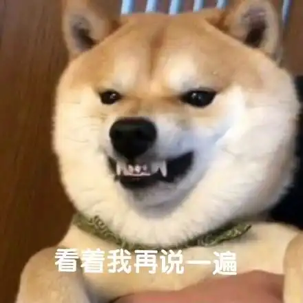 沙雕柴犬的表情包野心不大,你和天下
