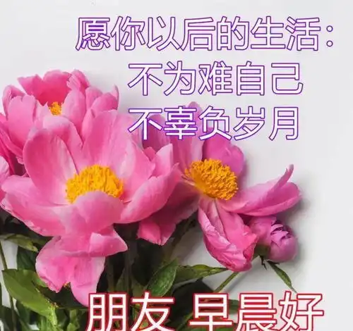 漂亮好看的早上好动态美图带祝福语春日早晨好幸福暖心的问候图片
