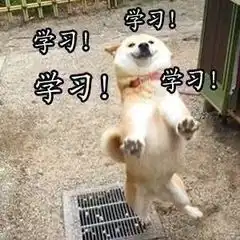 被姓名梗刷屏我不允许你还没看过这份海大词典
