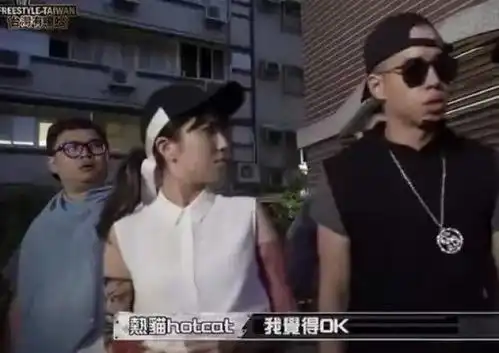 中国有嘻哈张震岳我觉得不行表情包蹿红
