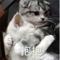 乖啦我的小可爱表情包带字微信头像图片大全
