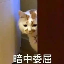 拥有稀有姓氏是种什么体验哈哈哈太搞笑了
