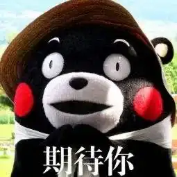 成年人的情绪一般都不表达在脸上,他们都有自己的表情包
