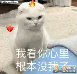 在吗出来饮酒喝酒派大星表情包图片抱紧我的猪宝贝表情包下载乐游网游戏下载
