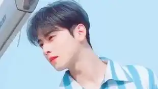 统一南韩审美的男人车银优
