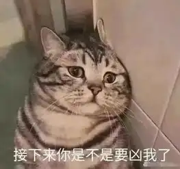 可爱猫咪的表情包我的悲伤大概有这么大
