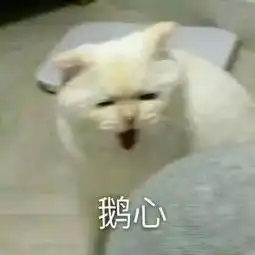 廊坊一男子点外卖还附赠这玩意儿,微友吃苍蝇都不至于这样恶心
