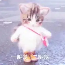 撒娇专用表情包喜欢一个人是藏不住的
