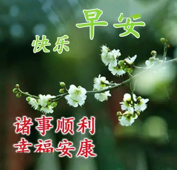 大雪早晨好祝福语动态表情图片冬天天冷了早上好问候语图片带字温馨
