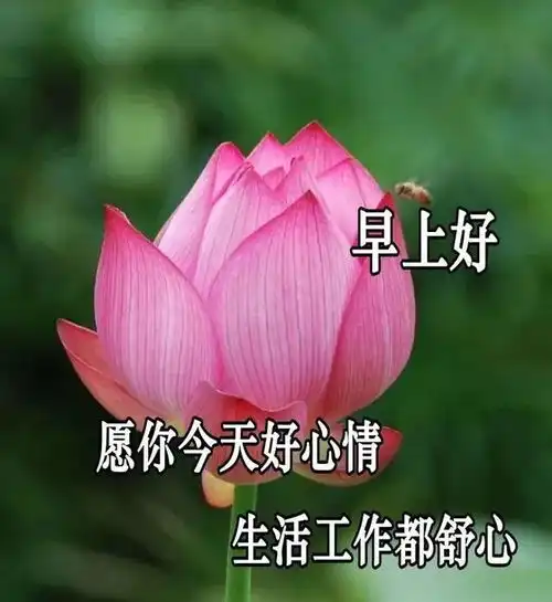 2021最新超级漂亮早安问候语动态图片,微信早安问候祝福语图片带字
