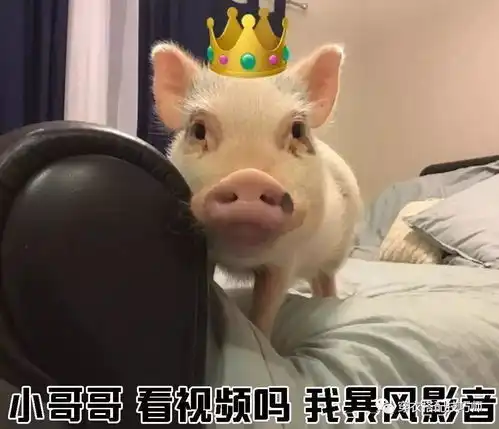 教你如何一句话搭讪好看的小哥哥
