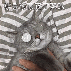 养宠陷阱你中过几个
