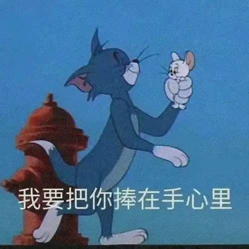 适合双十一的表情包
